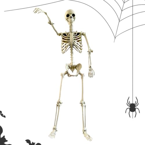 Squelettes pour Halloween 91 cm Articulé Effrayant Terrifian