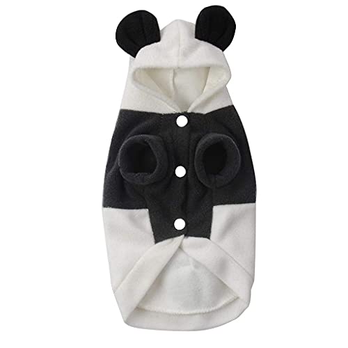 Déguisement pour chat Halloween