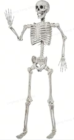 JOYIN Squelette dHalloween grandeur nature de 1,5 m, squelet
