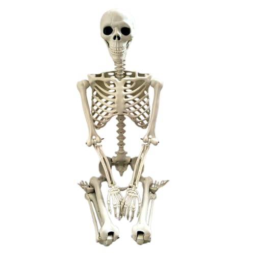 Squelettes pour Halloween 91 cm Articulé Effrayant Terrifian