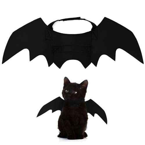 Déguisement pour chat Halloween