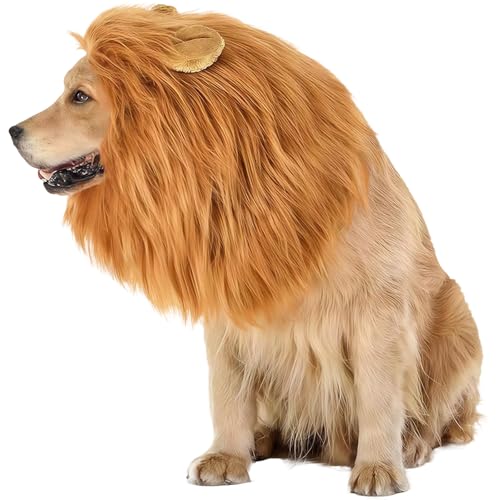 Déguisement pour chien Halloween