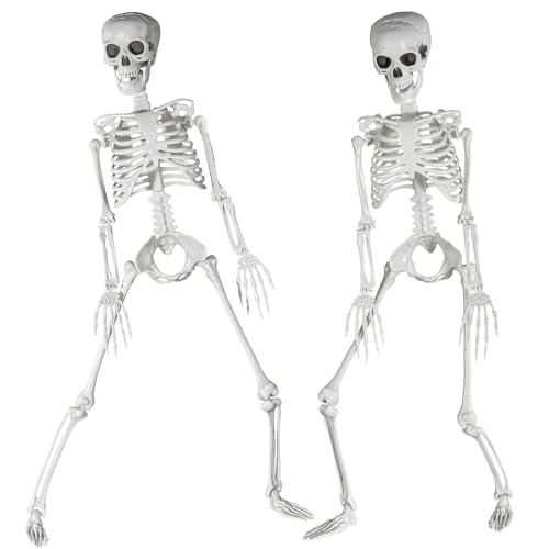 SIFOEL Squelette dhalloween en Plastique, 90 cm, avec articu