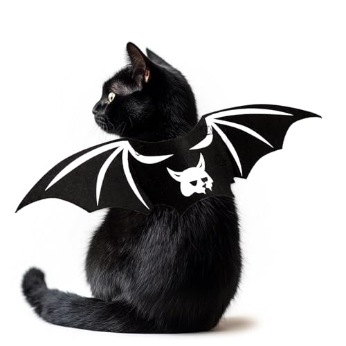 Déguisement pour chat Halloween