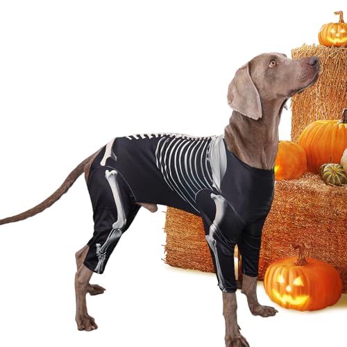 Déguisement pour chien Halloween