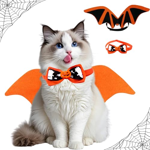 Costume Chauve-Souris Halloween Chat