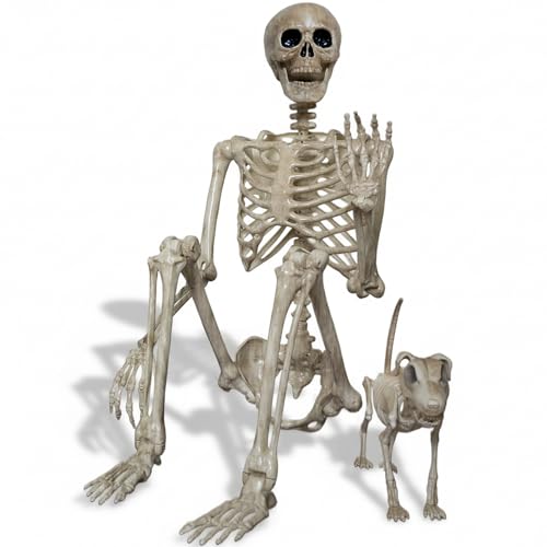 2Pcs Squelette Halloween, Squelette 165 cm Taille Humaine et