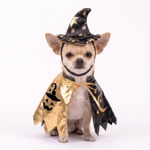 Déguisement dhalloween pour Chiens et Chats avec Chapeau Mag