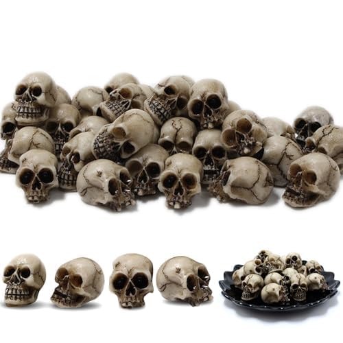 FENGCHUANG Mini Tête de Mort 20 Pièces Résine Crane Decorati