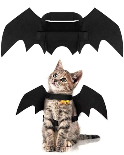 Déguisement pour chat Halloween
