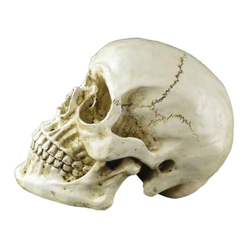 EPIGEIST et Ornement Effrayant pour Fête et Escape Game Inté