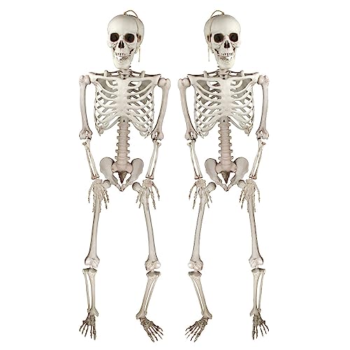 Squelettes Halloween Réalistes Posables
