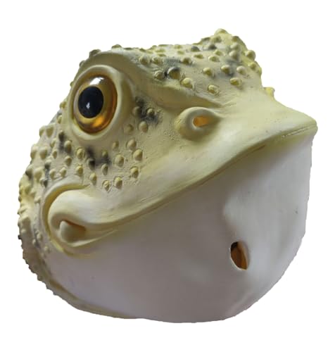 Déguisement de crapaud Halloween