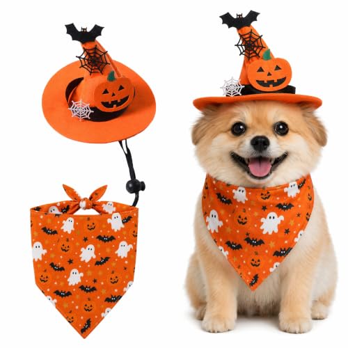 Costume dHalloween pour chien - Avec bonnet et foulard régla