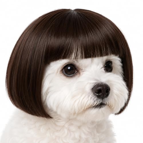 Deguisement Halloween Chien Perruque Bob Costume Halloween C