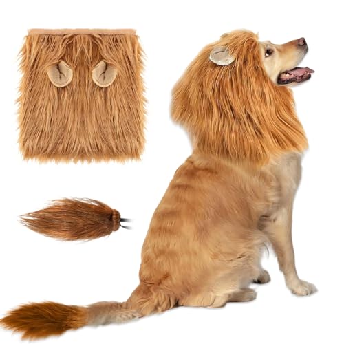 Déguisement pour chien Halloween