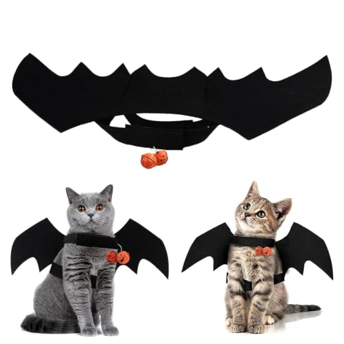 Ailes Chauve-Souris Halloween Animal