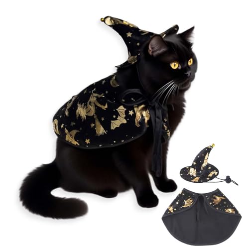 Déguisement pour chat Halloween