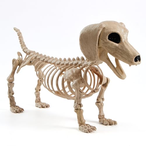 JOYIN Squelette de chien Wiener Halloween 61 cm en plastique