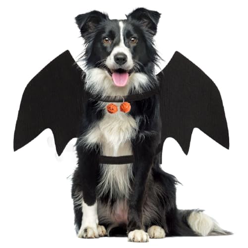 Déguisement pour chien Halloween