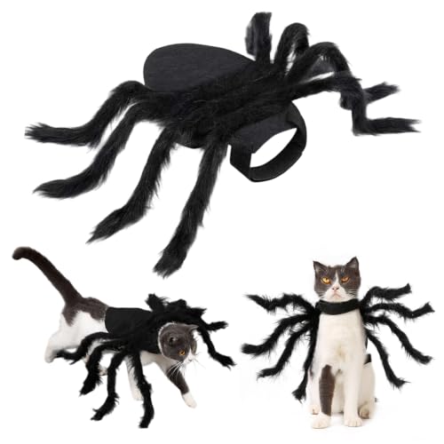 Costume Halloween Araignée Chat Noir