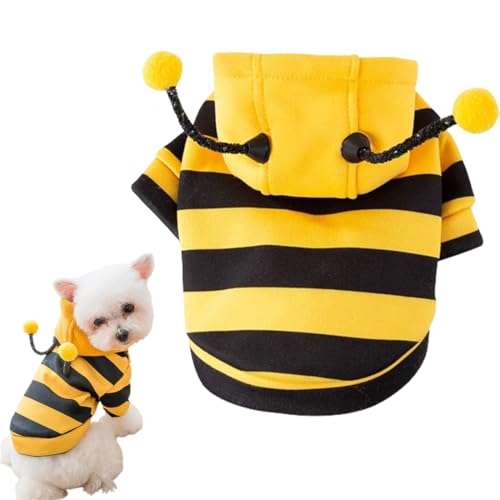 Déguisement pour chien Halloween