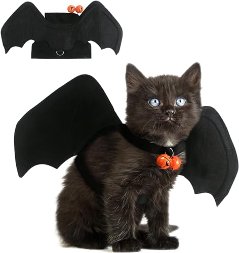 Déguisement pour chat Halloween