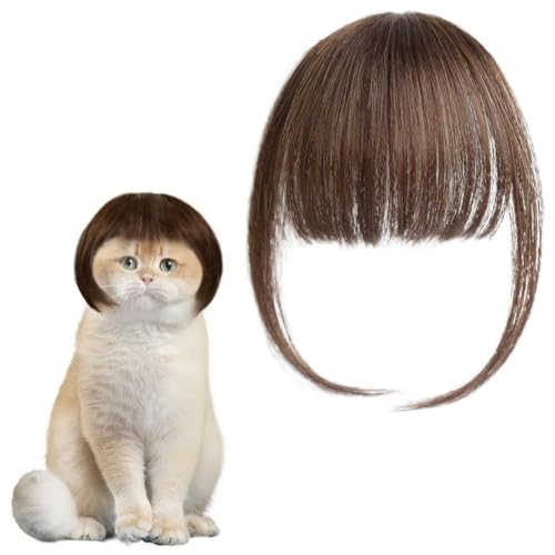 Déguisement pour chat Halloween