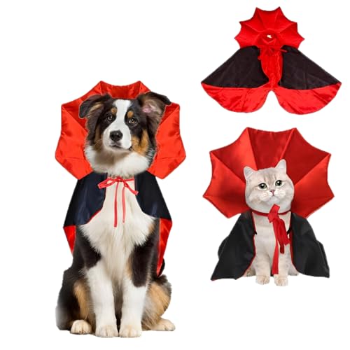 Déguisement pour chien Halloween