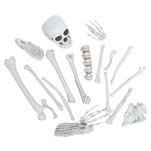 Cabilock Squelette Réaliste Décoration Halloween Effrayante