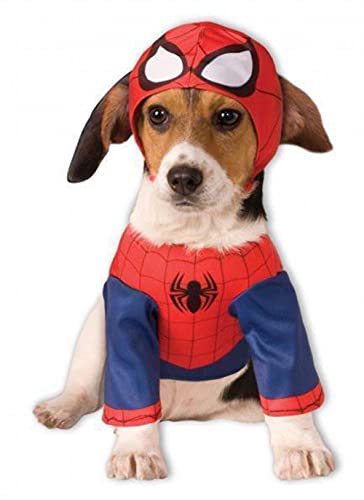 Déguisement de Spiderman Halloween