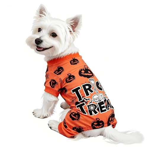 Déguisement pour chien Halloween
