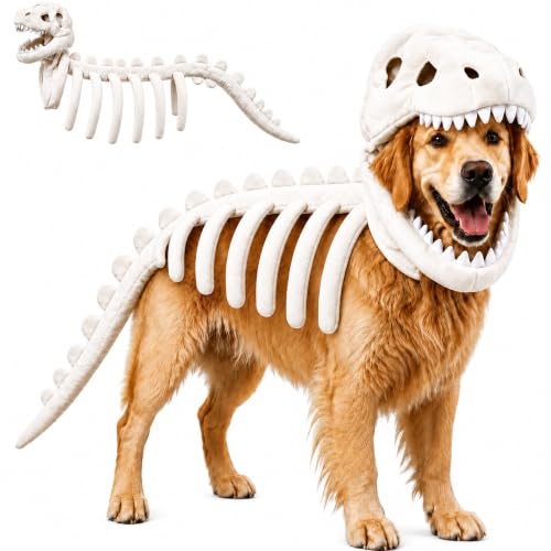 Déguisement pour chien Halloween