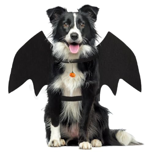 Costume Halloween Chien,Ailes Chauve Souris Chien,Deguisemen