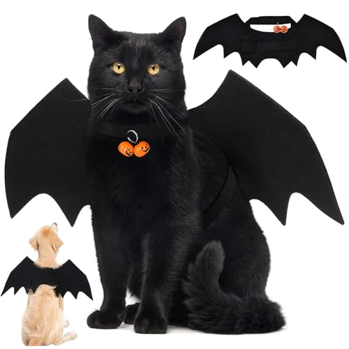 Déguisement pour chat Halloween