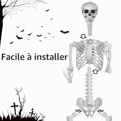 SIFOEL Squelette dhalloween 240cm Géant avec Articulations M