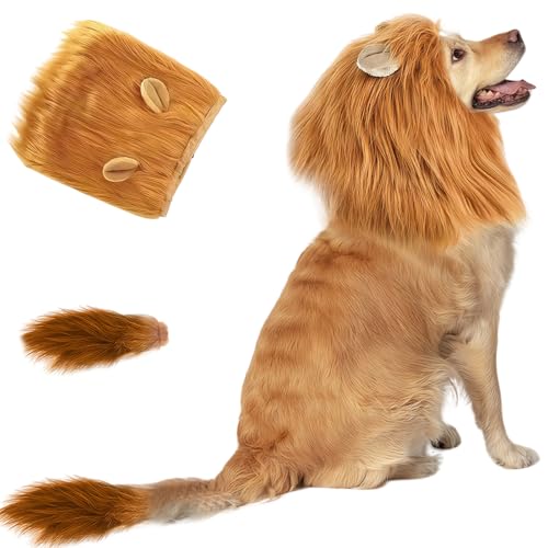 Déguisement pour chien Halloween