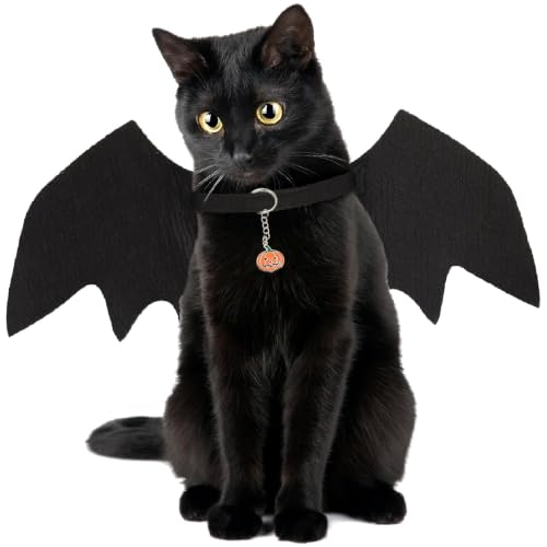 Costume Halloween Chat,Ailes Chauve Souris Chat,Deguisement 