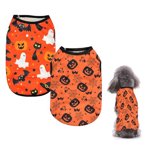 ARYIMYDP 2 Pièces Déguisements Halloween pour Chien et Chat,