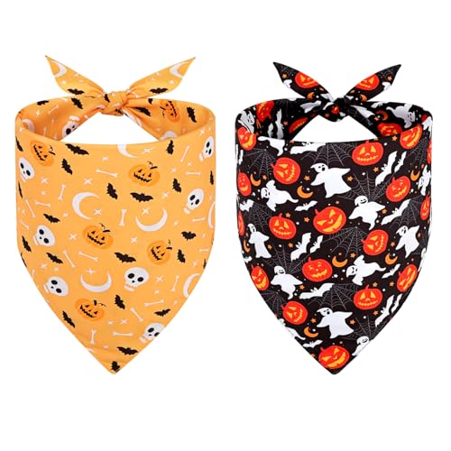 Déguisement pour chat Halloween