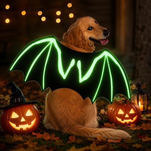 Deguisement Halloween Chien Ailes Chauve Souris Lumineuses, 