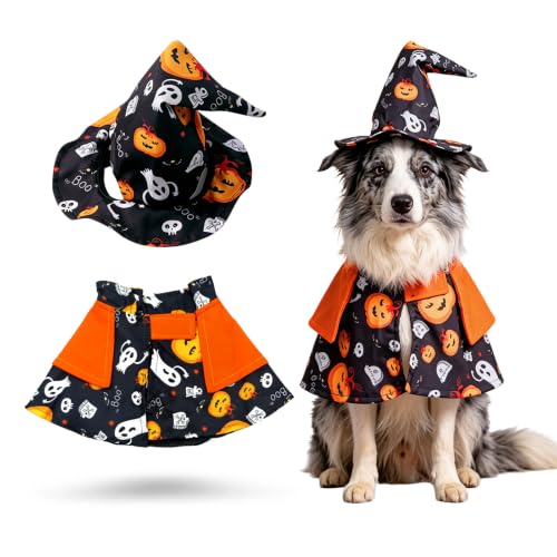 Déguisement pour chien Halloween