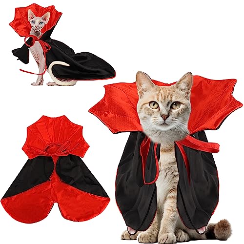 Déguisement pour chat Halloween