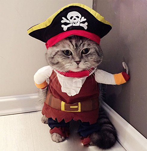 Déguisement pour chat Halloween