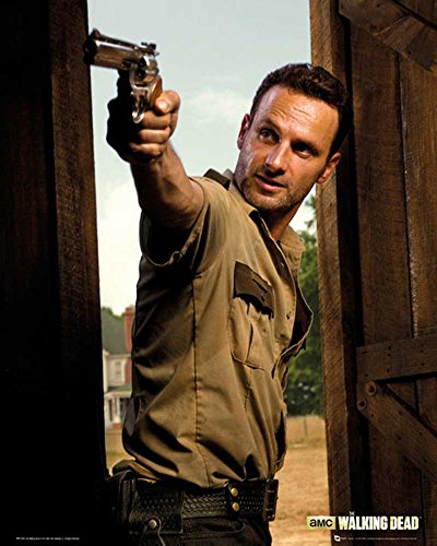 Walking Dead The Rick Mini poster de cinéma avec film effray