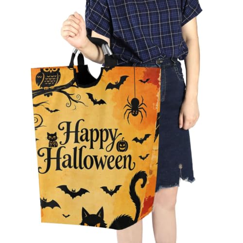 Paniers citrouille chat noir Halloween organisation et range