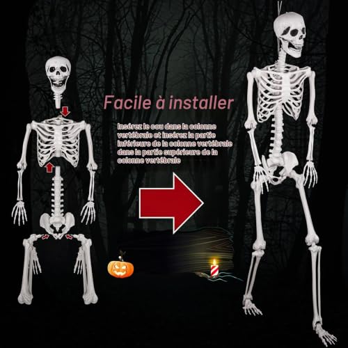 SIFOEL Squelette Grandeur Nature pour Halloween - 180 cm - S