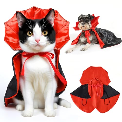 Déguisement pour chat Halloween